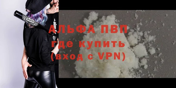 крисы Магас