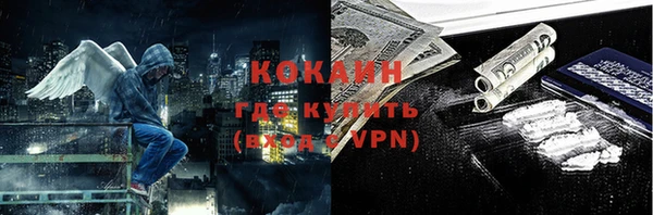 крисы Магас